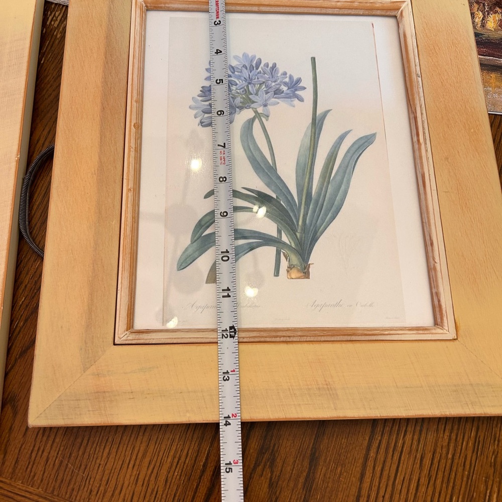 Natural Wood Framed Botanical Prints Set - Picture 8 of 9